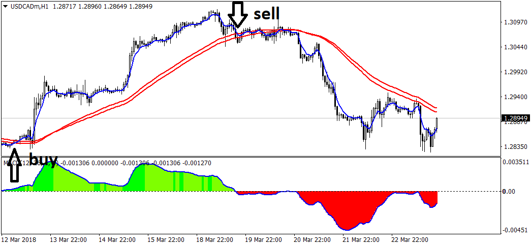 :	USDCADmH1.png
: 623
:	27.0 